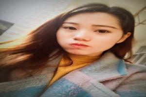 口袋妖怪金金手指密码最新官网